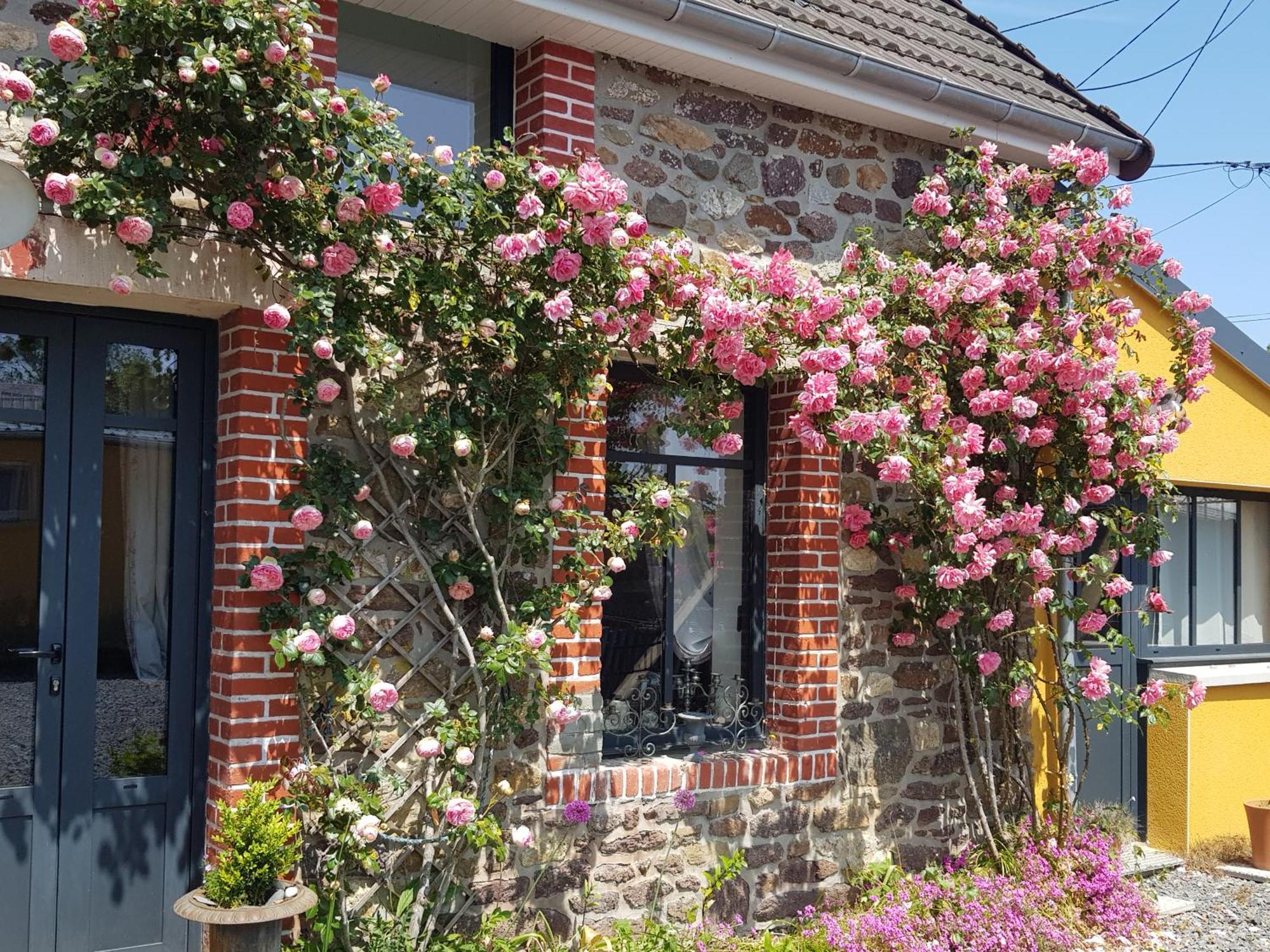 Coudeville Le Jardin B&B 외부 사진