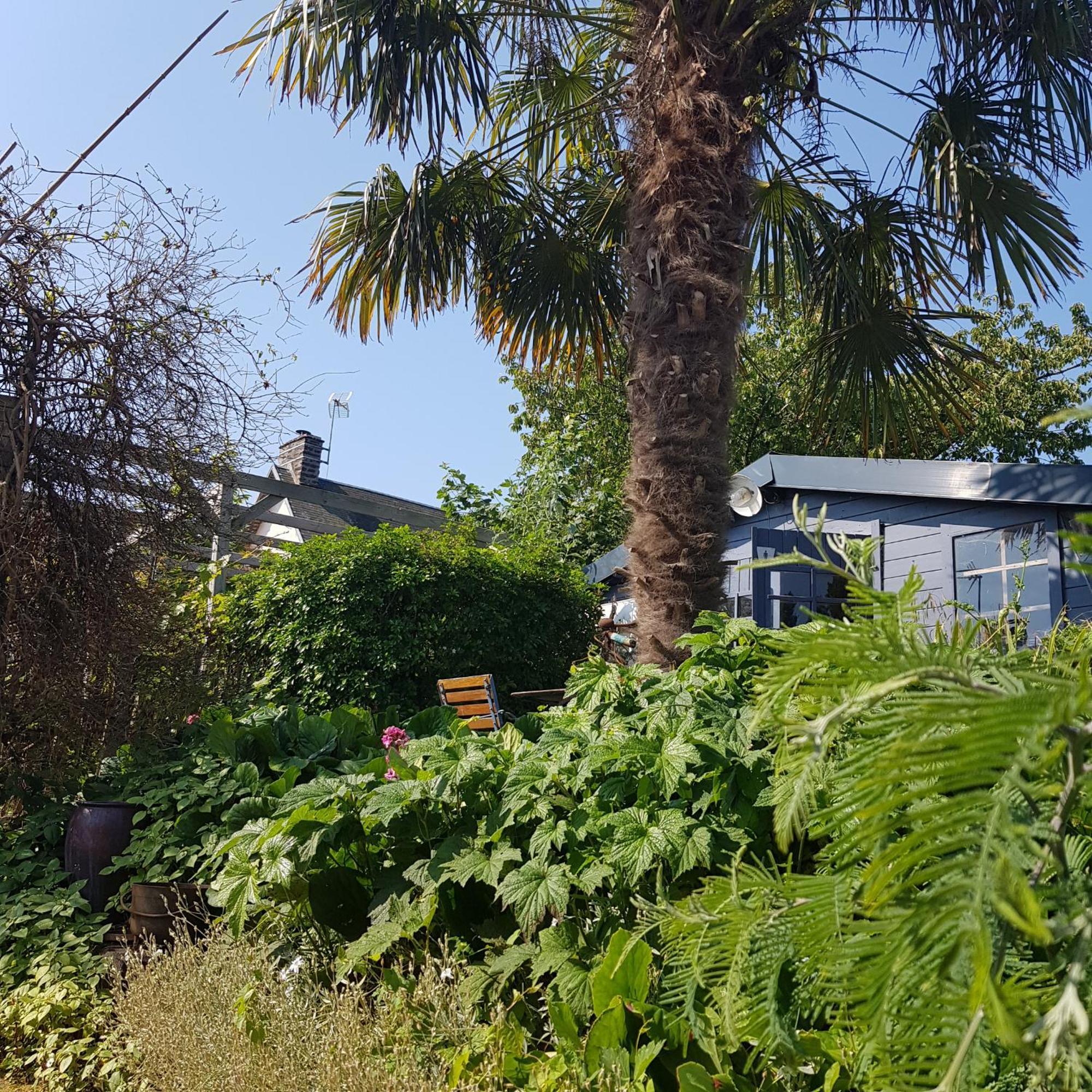 Coudeville Le Jardin B&B 외부 사진