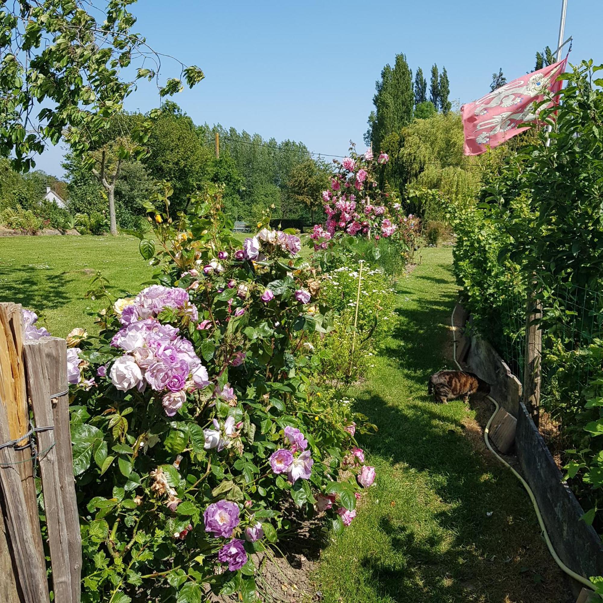 Coudeville Le Jardin B&B 외부 사진